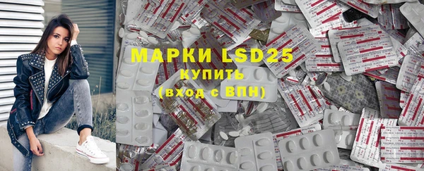 индика Осинники