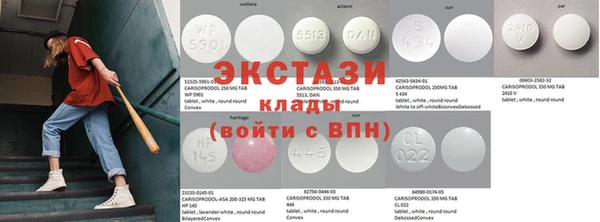 индика Осинники