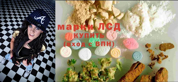 индика Осинники