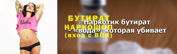 индика Осинники
