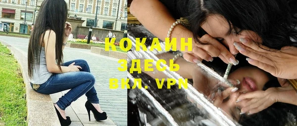индика Осинники