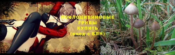 спайс Абдулино