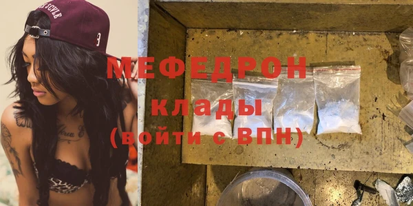 индика Осинники