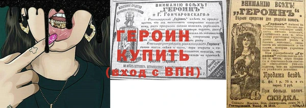индика Осинники